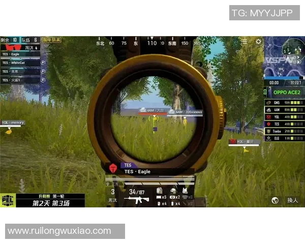 聚焦和平精英战场FPX团队默契配合与战术分析探讨